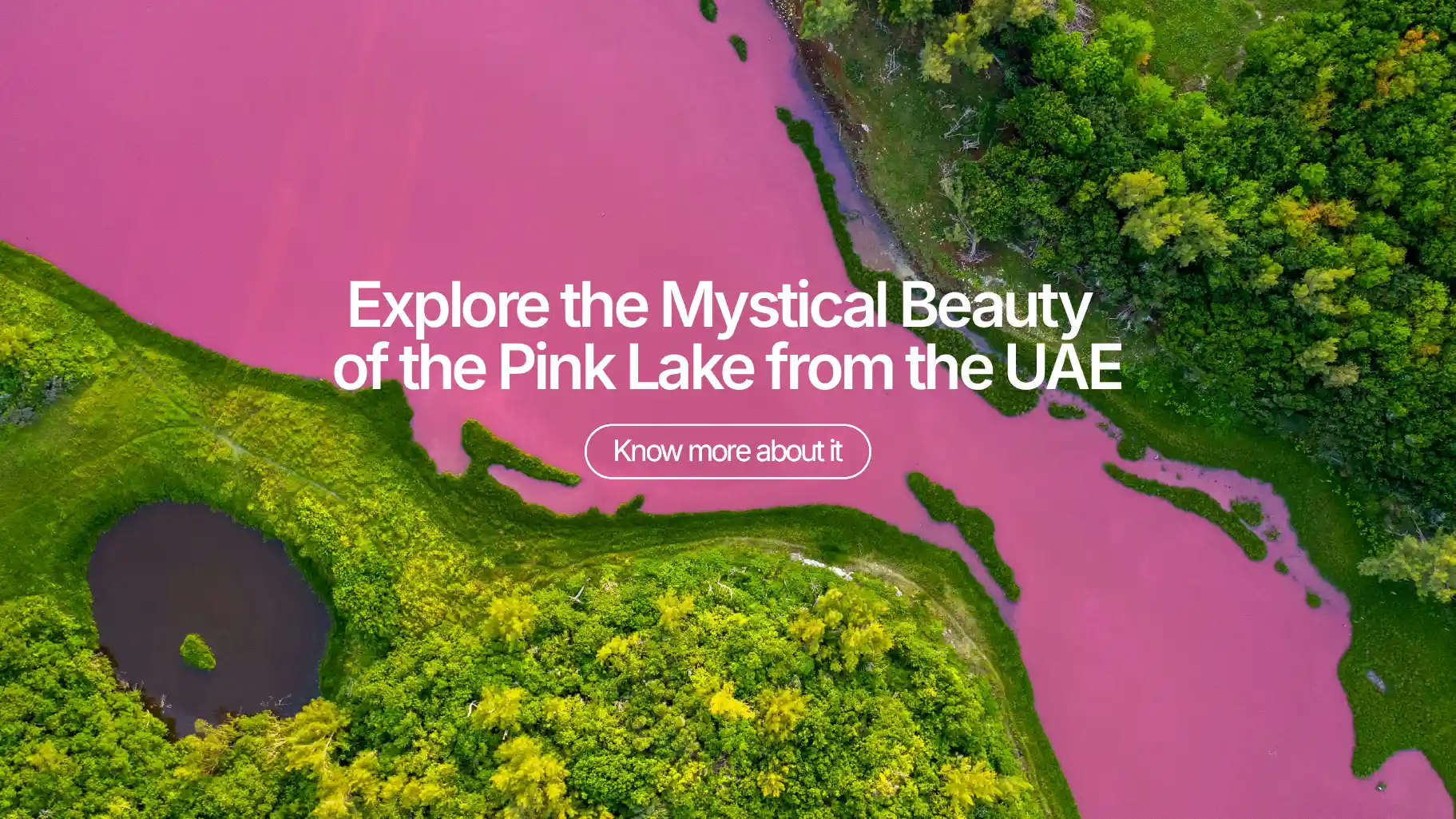 Explore the Mystical Beauty of the Pink Lake from the UAE