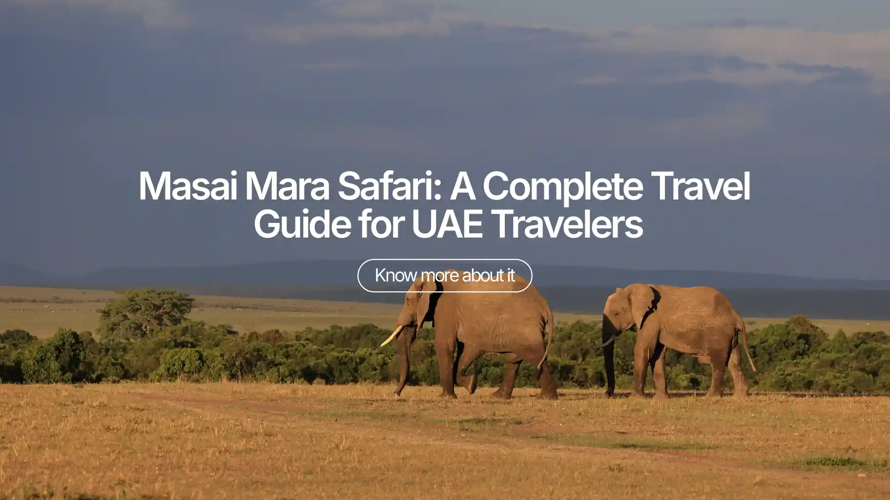 Masai Mara Safari: A Complete Travel Guide for UAE Travelers